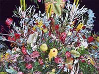 perth_wildflower_fest.jpg